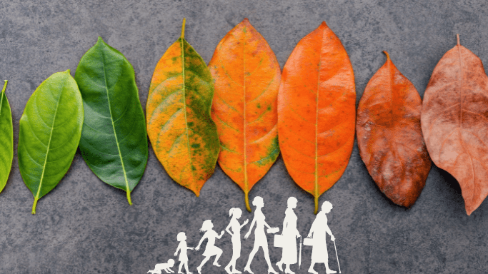 L&rsquo;âge et ses&nbsp;nuances