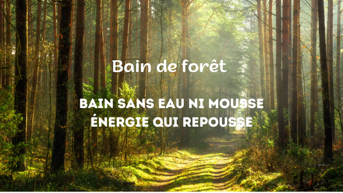 Les bienfaits du bain de&nbsp;forêt